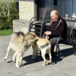 ein Bild aus dem Album