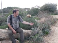 ein Bild aus dem Album